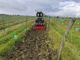 cultivateur porté / avec rouleau / avec attelage trois points / à dents rigides