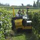 effeuilleuse à rouleau / montée sur tracteur