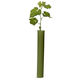tube de plantation de vigne
