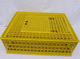 cage de transport pour poulets / en plastique