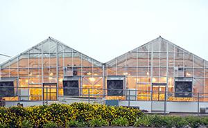 Greenhouses