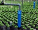 Sub-irrigation systems