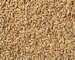 Straw cereal seeds