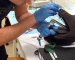 Other veterinary simulation equipment
