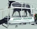 Equine treadmills