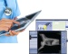 Veterinary MRI systems