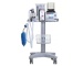 Veterinary anesthesia workstations