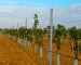 Drip irrigation systems