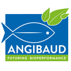 Angibaud Derome & Spécialités