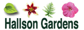 Hallson Gardens