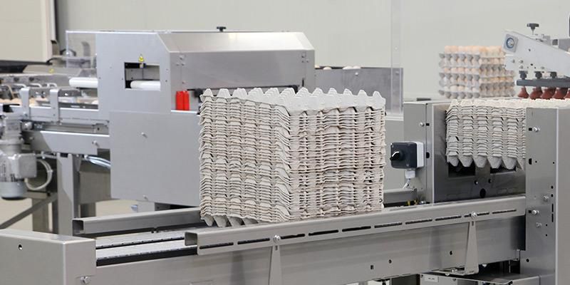 Egg tray stacking machine - Pas Reform Hatchery Technologies