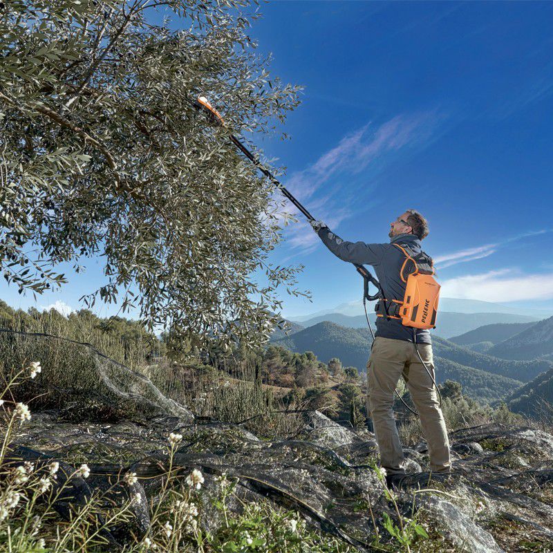 Electric olive rake - POWER48 - Pellenc