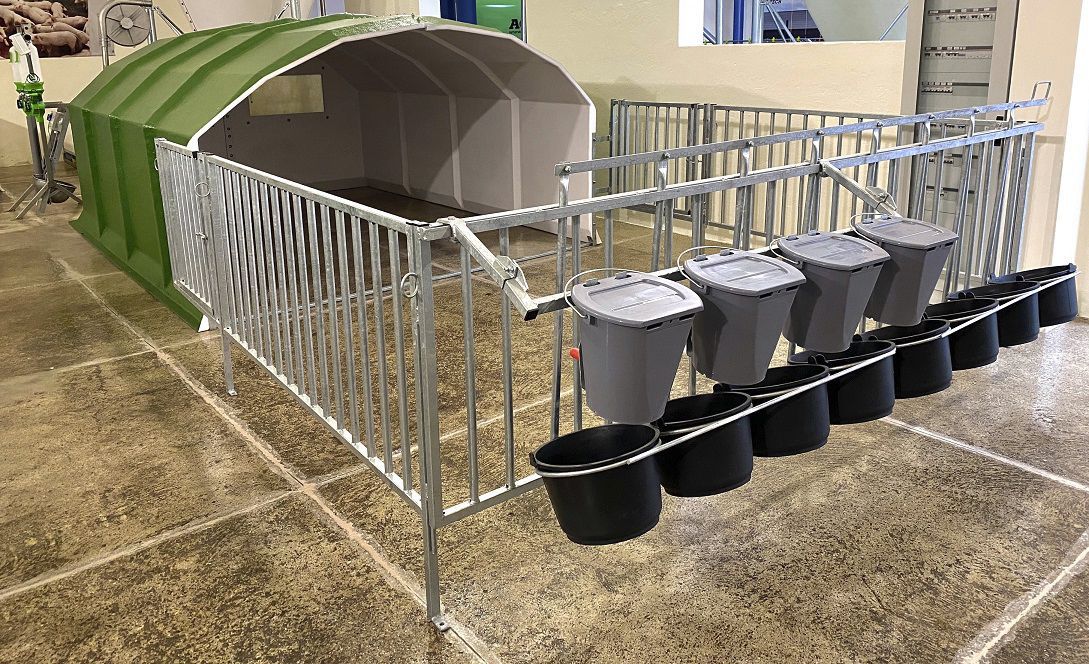 Livestock hutch AGRIBOX12 AGRITECH S.R.L. calf / group / steel