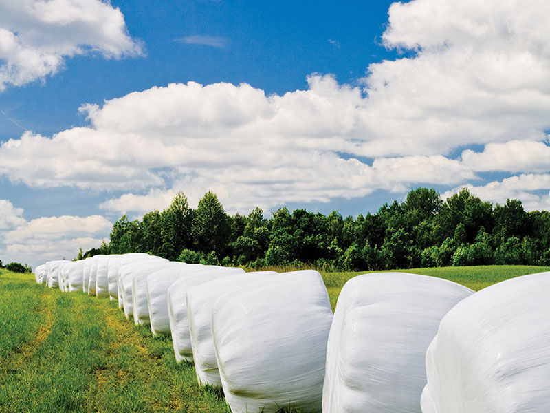 Bale wrap film SiloFlex AT Films Inc. polyethylene / UVresistant