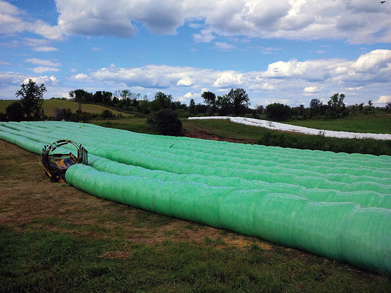 Bale wrap film - Silotite Pro - AT Films Inc. - polyethylene / UV