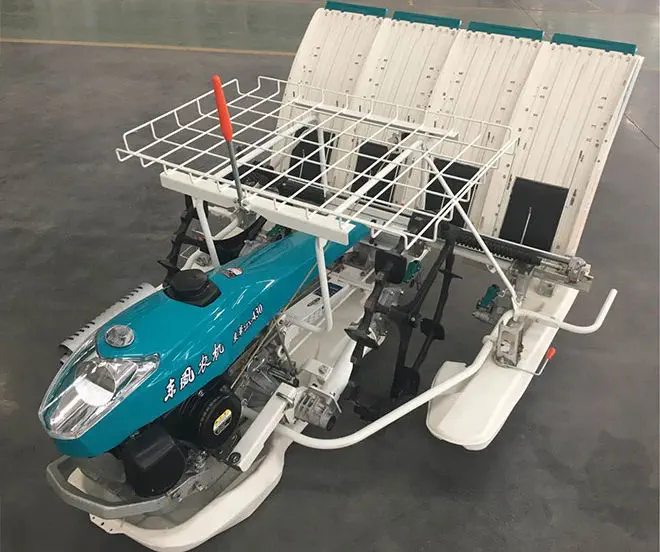 Rice transplanter - 2ZX-630 - DONGFENG - automatic / 6-rows / walk