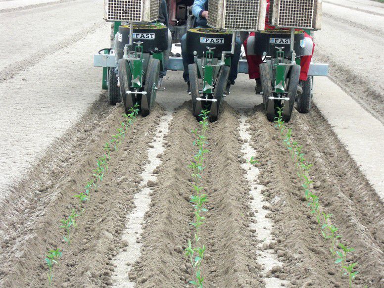 Vegetable transplanter FAST ELECTRONIC FEDELE MARIO manual / 2
