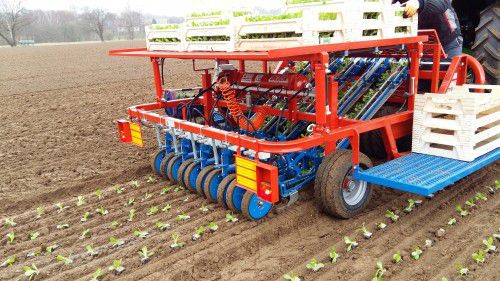 Vegetable transplanter - FASTBLOCK - Ferrari GROWTECH - automatic /  self-propelled / block