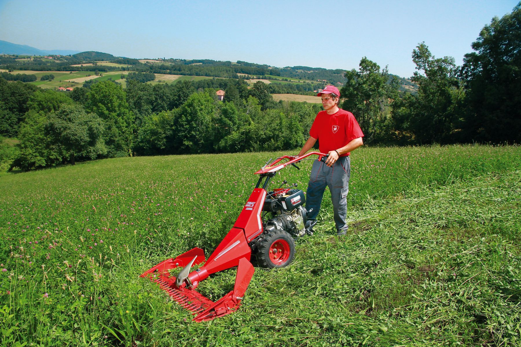 Walk behind sickle discount mower for sale