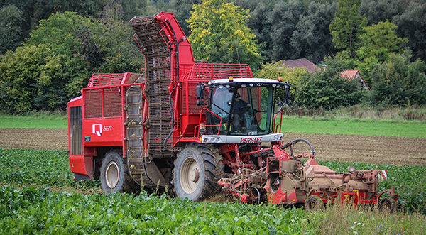 Beet harvester machine - Q series - Frans Vervaet B.V. - self-propelled ...