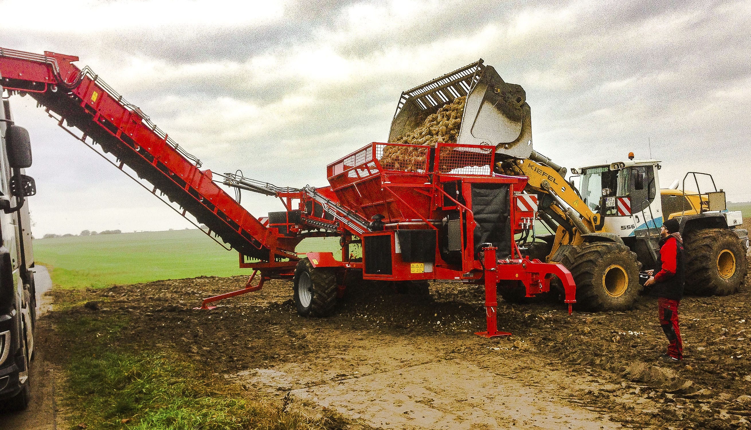 Beet cleanerloader RRL 200 eco HOLMER Maschinenbau GmbH sugar beet / towed