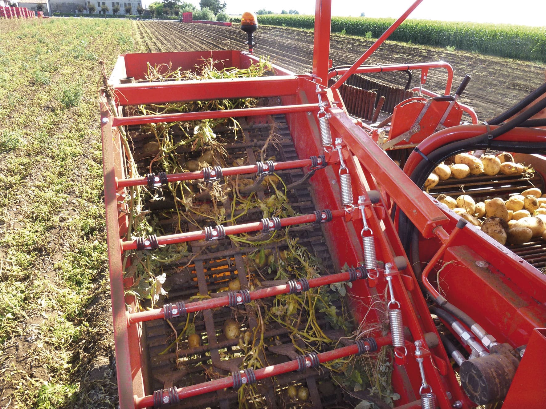 Potato harvester 8090RB4555 IMAC Srl trailed / 1row