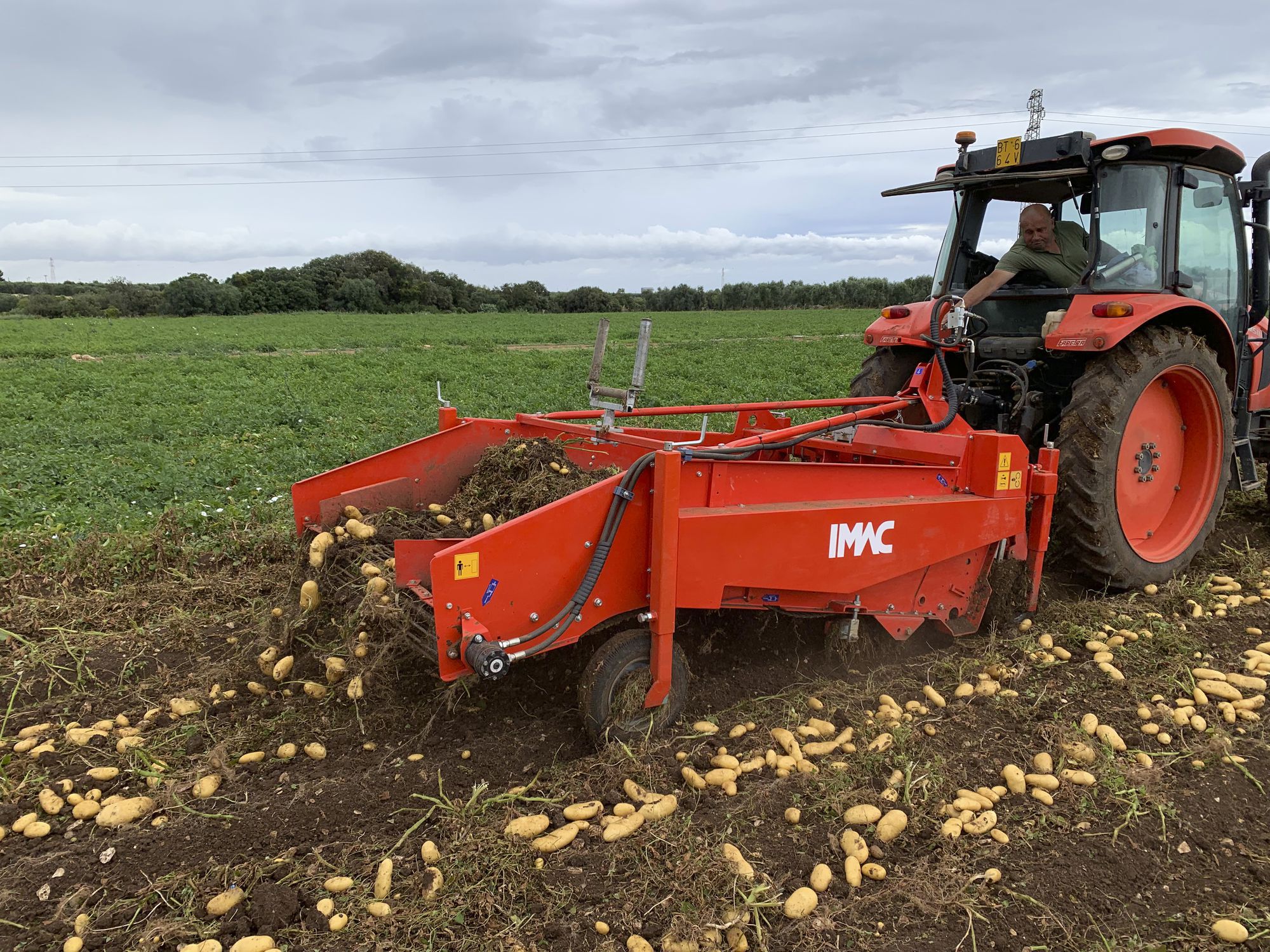 Farm-Maxx 2 Row Potato Planter, image size:2000x1500