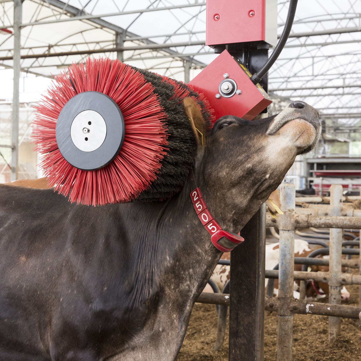 Livestock comfort brush Luna Lely rotating / cows / horizontal