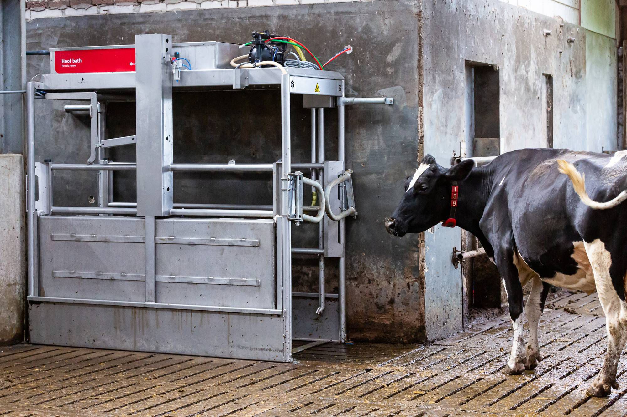 Foot bath for livestock buildings - Meteor - Lely - metal