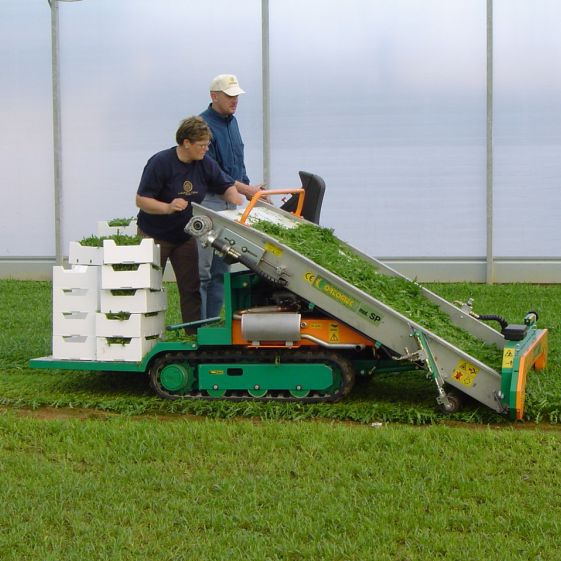 Baby leaf harvester - 7000 - ORTOMEC srl - spinach / self-propelled ...