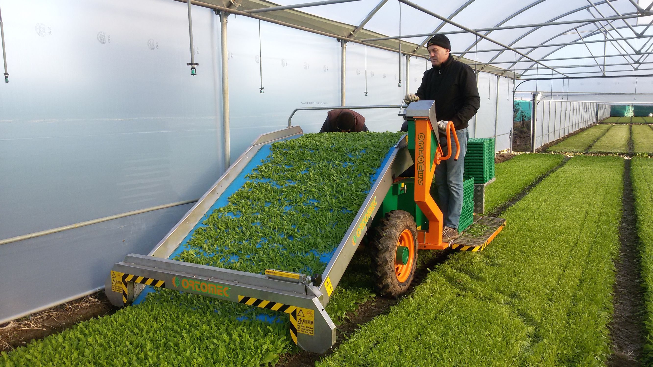 Vegetable harvester 8400 ELECTRO ORTOMEC srl selfpropelled