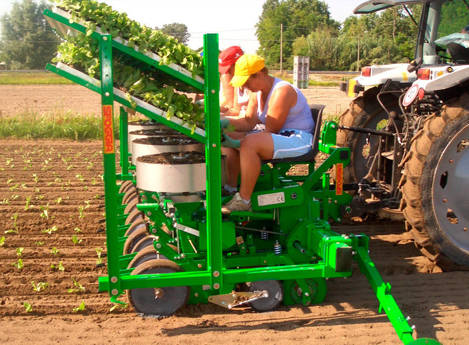 Lettuce transplanter F10 C10 SFOGGIA Agriculture Division S.r.l