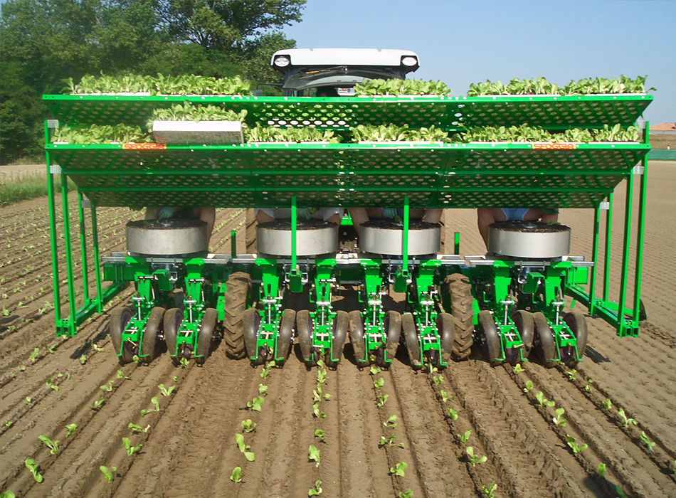 Lettuce transplanter F10 C10 SFOGGIA Agriculture Division S.r.l