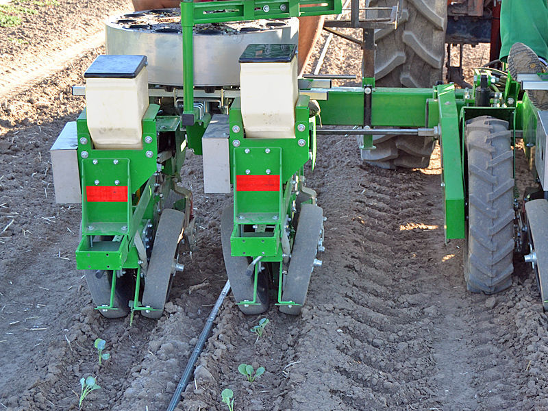 Lettuce transplanter F12 C12 SFOGGIA Agriculture Division S.r.l