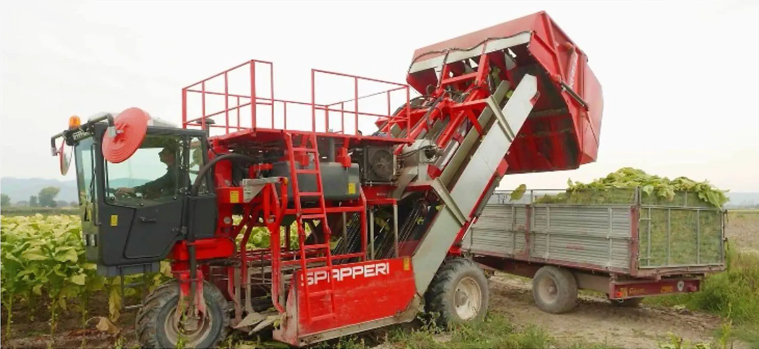 tobacco harvesting machine price Tobacco harvester machine - RA832 - SPAPPERI