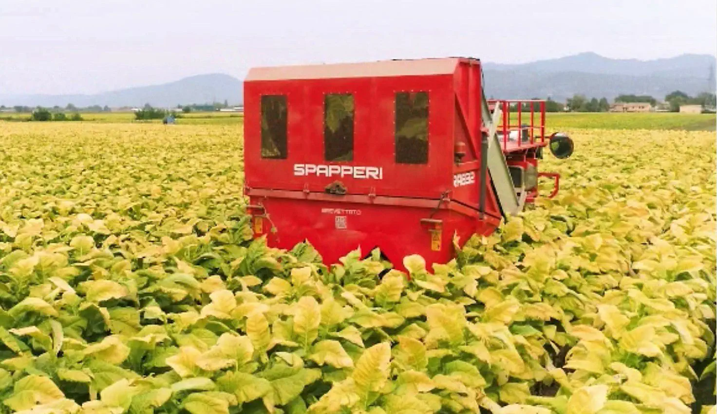 spapperi tobacco harvester price Tobacco harvester machine - RA832E - SPAPPERI