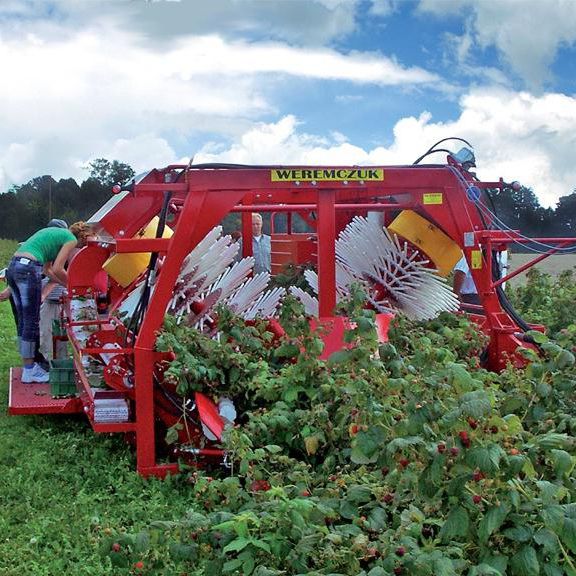 Raspberry Harvester Machine Natalia V Weremczuk Fmr Sp Z O O