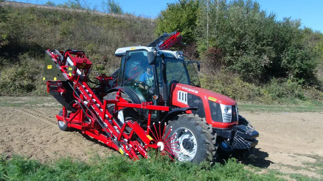 Carrot harvester machine - ALINA SUPERNOVA - Weremczuk FMR