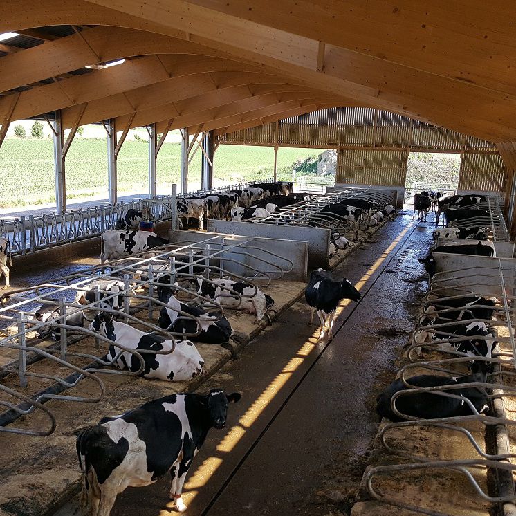 Rubber cow mattress AQUACLIM® Bioret Agri foam / for cubicles
