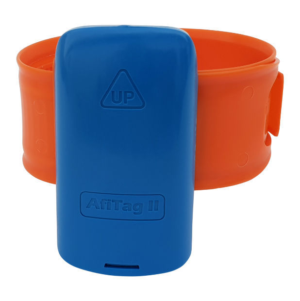 Ankle bracelet afiact ii afimilk electronic identification