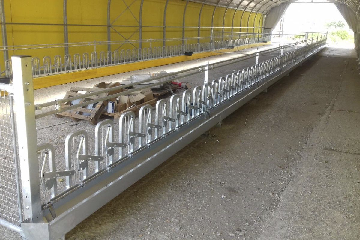 Goat headlock DUE A s.r.l. sheep / selflocking / tubular