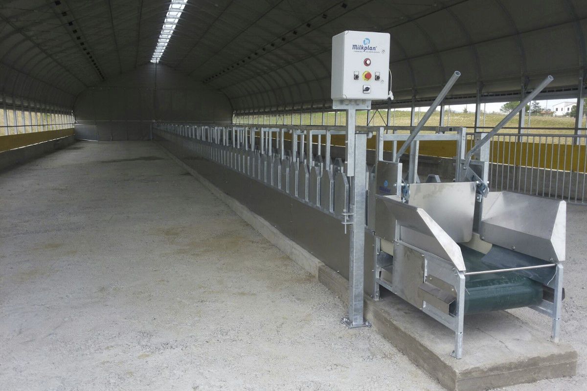 automatic sheep feeder