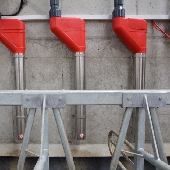 Feed dispenser PipeFeeder Hanskamp AgroTech BV for cows
