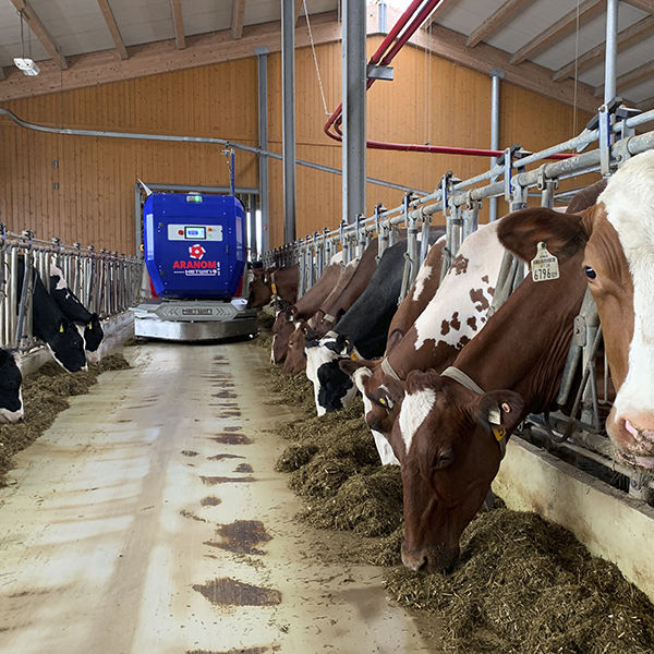 Cattle feeding robot ARANOM HETWIN Automation Systems GmbH self