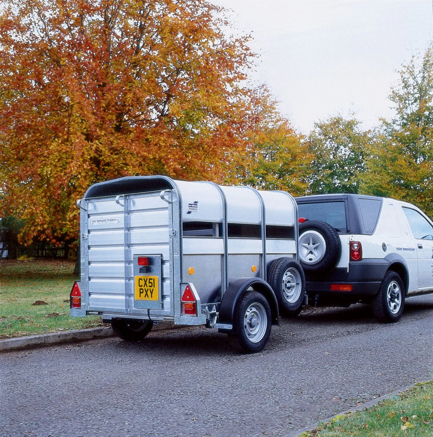 Single-axle livestock trailer - P series - Ifor Williams Trailers Ltd.