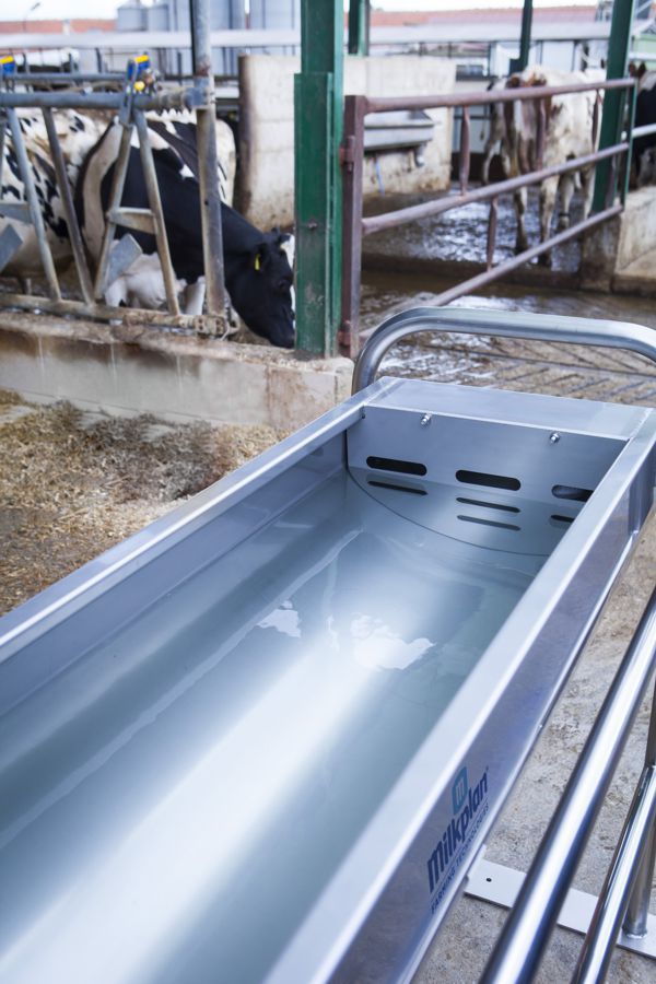Cattle trough MILKPLAN S.A. stainless steel