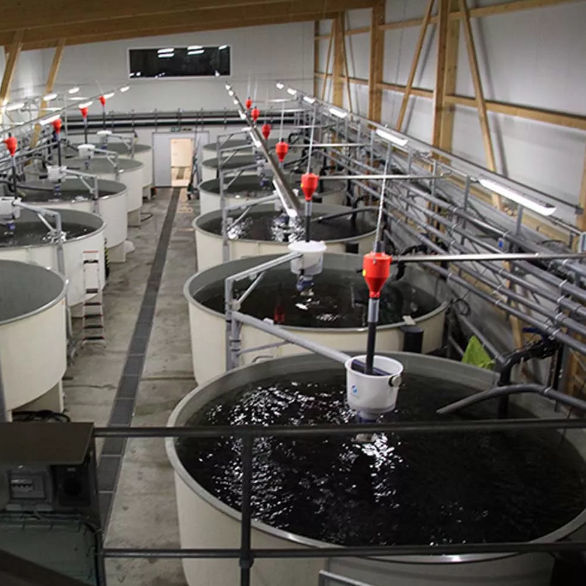 Hopper feeding system SPOTMIX Schauer Agrotronic GmbH for