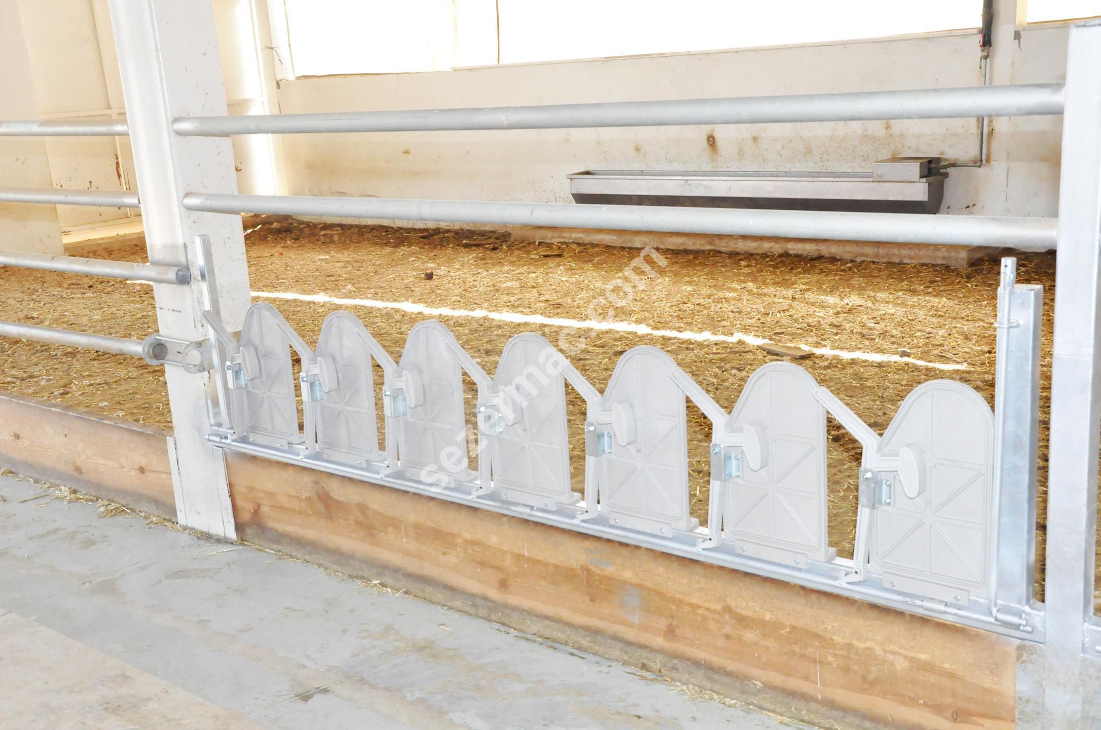 Goat headlock HYKB4 SEZER TARIM ve Sagim Teknolojileri San. ve Tic