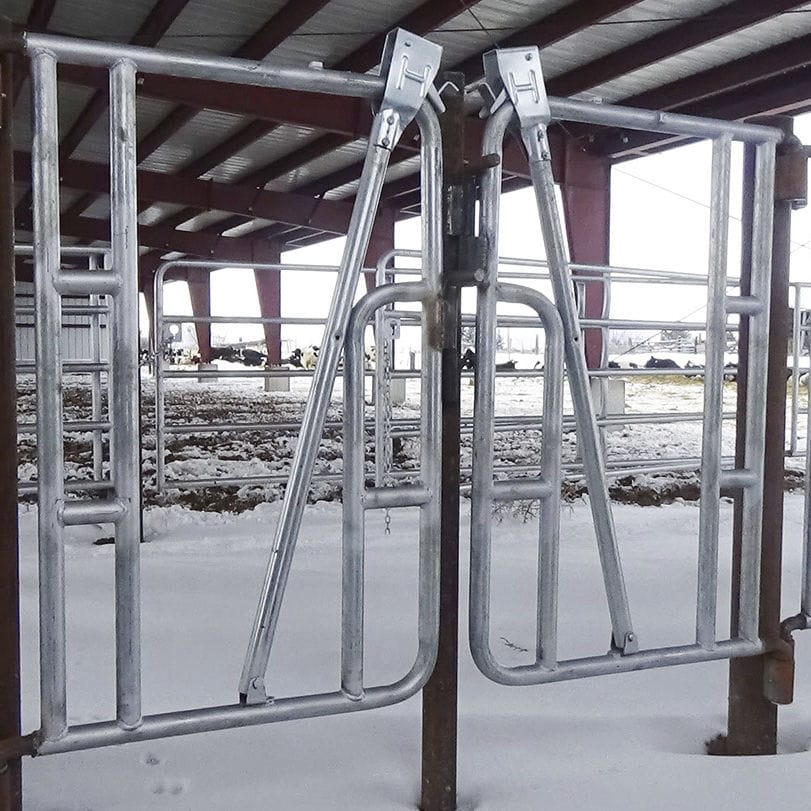 Cows head gate Hatfield Manufacturing, Inc.