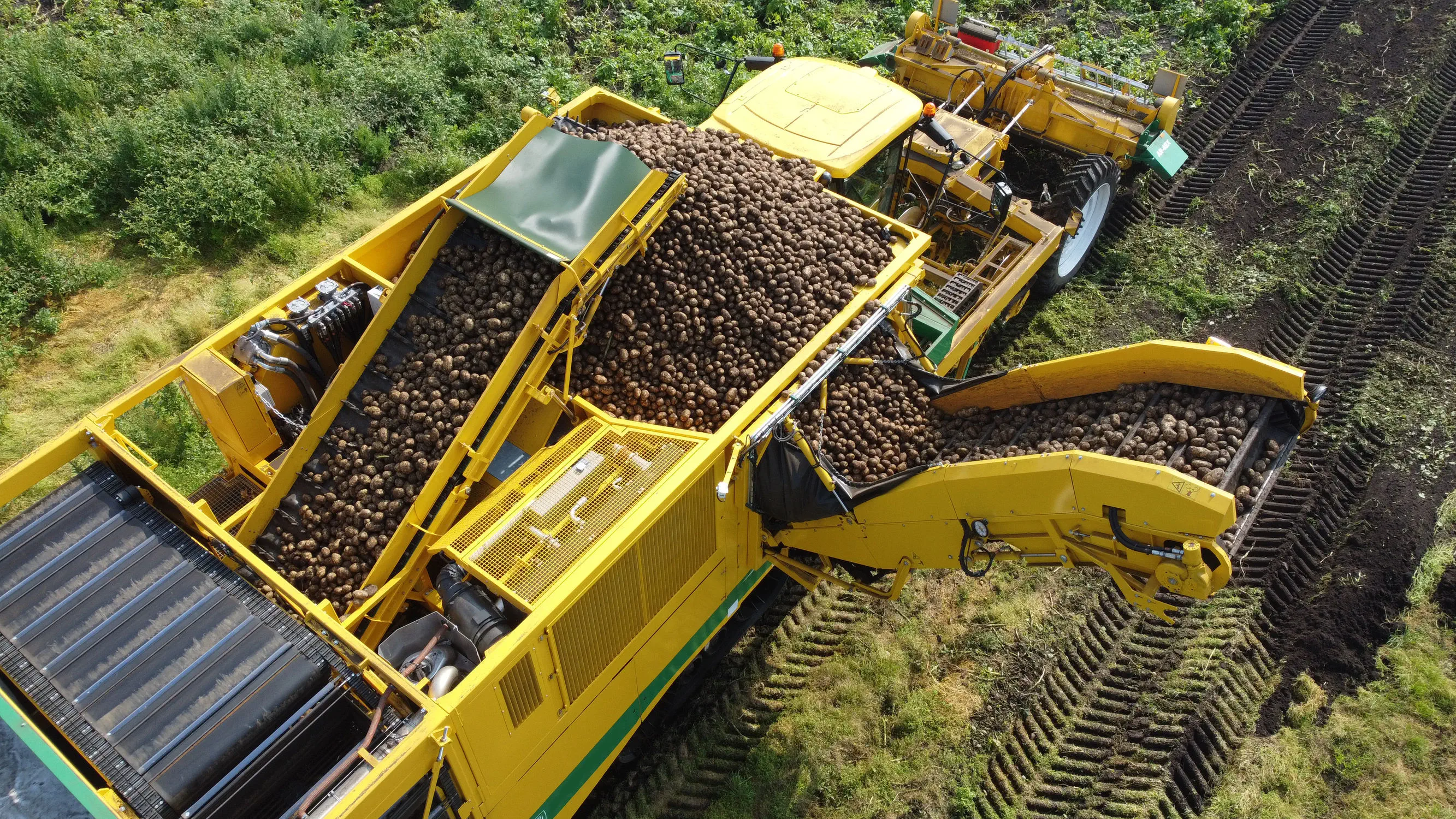 ヨビニオンマルル　4枚　a デュエルマスターズ ヨビニオンマルル 4枚セット (通常3 シク1